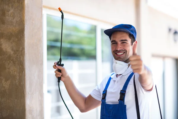 Spring Valley Wasp Removal