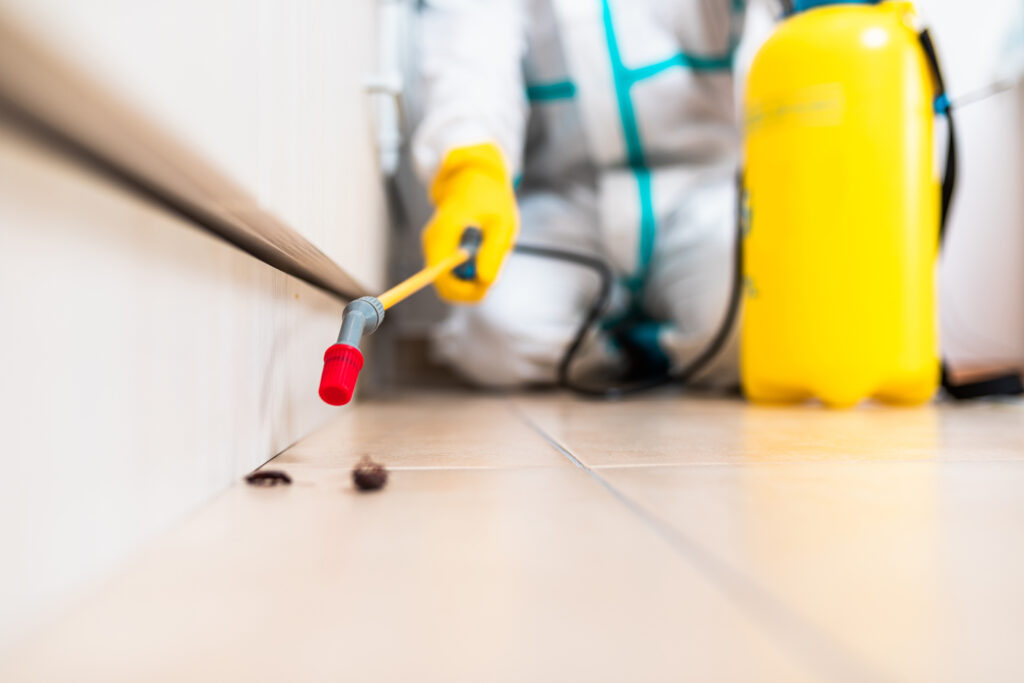 Spring Valley Cockroach Experts