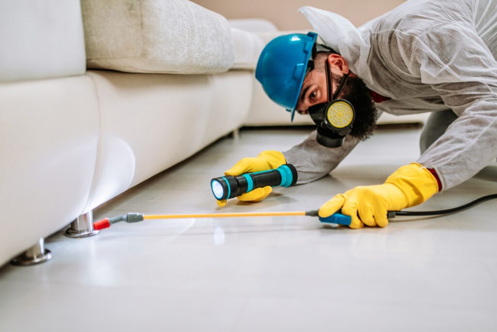 Spring Valley Termite Control