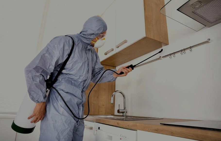 Spring Valley pest managment